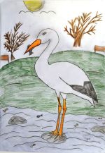 Semančíková Lýdia.jpg